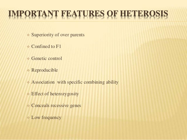 heterosis brinjal
